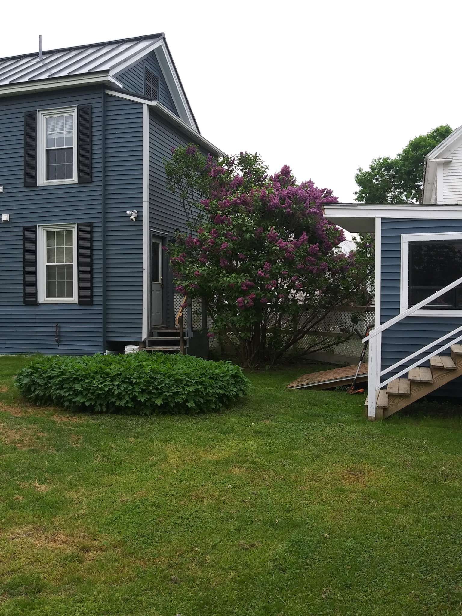 Side view of the blue house with beautiful lilac bush in bloom - Skowhegan contractor rental